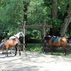 База активного отдыха Кленовик, Шапсугская, Краснодарский край