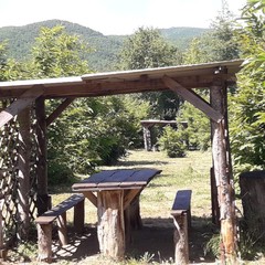 База отдыха Каштановая роща, Шабановское, Краснодарский край