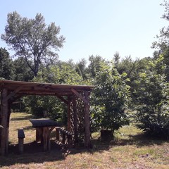 База отдыха Каштановая роща, Шабановское, Краснодарский край