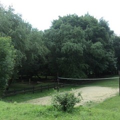 База активного отдыха Кленовик, Шапсугская, Краснодарский край