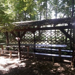 База отдыха Каштановая роща, Шабановское, Краснодарский край