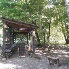 База отдыха Каштановая роща, Шабановское, Краснодарский край