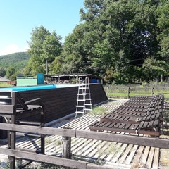 База отдыха Каштановая роща, Шабановское, Краснодарский край