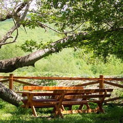 База отдыха Светлячок, Шапсугская, Краснодарский край