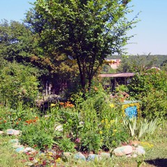 База отдыха Горный приют, Шапсугская, Краснодарский край