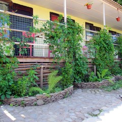 База отдыха Горный приют, Шапсугская, Краснодарский край