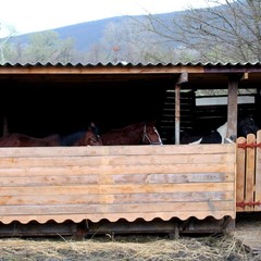 База отдыха Горный приют, Шапсугская, Краснодарский край