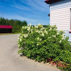 Гостинично-ресторанный комплекс Тихий уголок, Шарья, Костромская область