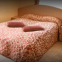 Гостиница Shaturaholl, Шатура, Московская область