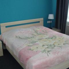 Гостиница Шатура, Шатура, Московская область