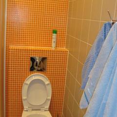 Гостиница Шатура, Шатура, Московская область