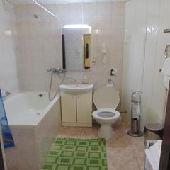 Гостиница Никопол, Шахты, Ростовская область