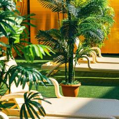 Отель SAINT LAKE, Шатура, Московская область