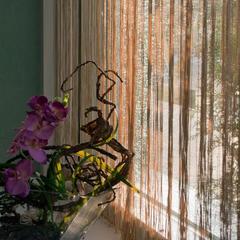 Отель Игуасу, Шаховская, Московская область