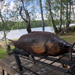Загородный клуб Армиево, Шемышейка, Пензенская область