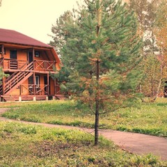 Загородный клуб Армиево, Шемышейка, Пензенская область