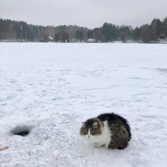 Загородный клуб Армиево, Шемышейка, Пензенская область