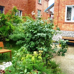 Усадьба Александр, Шепси, Краснодарский край