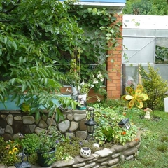 Усадьба Александр, Шепси, Краснодарский край