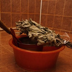 Загородный клуб Армиево, Шемышейка, Пензенская область