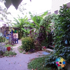 Гостевой дом Райский сад, Шепси, Краснодарский край