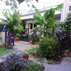 Гостевой дом Райский сад, Шепси, Краснодарский край