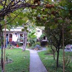 Гостевой дом Райский сад, Шепси, Краснодарский край