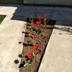 Мини-отель Kemper-shire, Ширяево, Самарская область