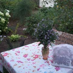 Мини-отель Kemper-shire, Ширяево, Самарская область