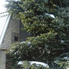 Мини-отель Kemper-shire, Ширяево, Самарская область