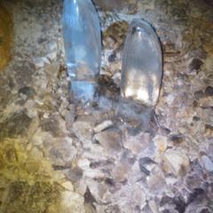 Мини-отель Kemper-shire, Ширяево, Самарская область