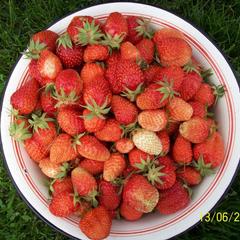 Мини-отель Kemper-shire, Ширяево, Самарская область