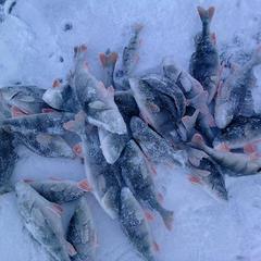 Мини-отель Kemper-shire, Ширяево, Самарская область