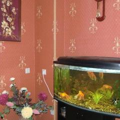 Гостиница Петровская, Шлиссельбург, Ленинградская область