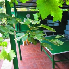 Пансионат Крымские Дачи, Крым