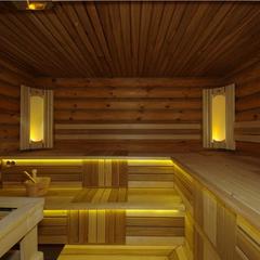 Гостиница Гостеев. Банная усадьба, Щелково, Московская область