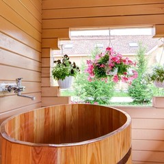 Гостиница Гостеев. Банная усадьба, Щелково, Московская область