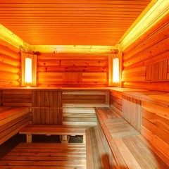 Гостиница Гостеев. Банная усадьба, Щелково, Московская область