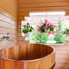 Гостиница Гостеев. Банная усадьба, Щелково, Московская область