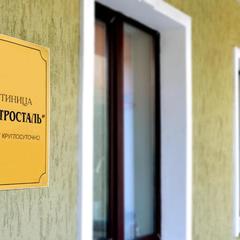 Гостиница Электросталь, Электросталь, Московская область