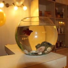 Загородный клуб Релакс, Щербинка, Московская область