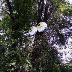 Гостиница Эльдорадо, Энгельс, Саратовская область