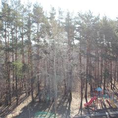 Загородный клуб Релакс, Щербинка, Московская область