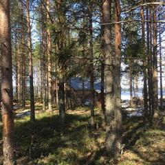  Комплекс Ангенлахти, Эссойла, Республика Карелия