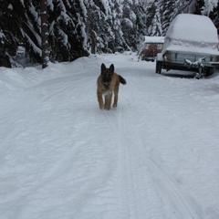  Комплекс Ангенлахти, Эссойла, Республика Карелия