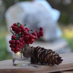  Комплекс Ангенлахти, Эссойла, Республика Карелия