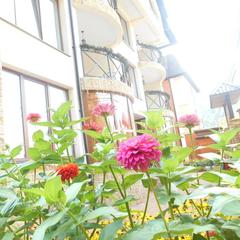 Отель Green Hall, Эсто-Садок, Краснодарский край