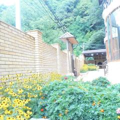 Отель Green Hall, Эсто-Садок, Краснодарский край