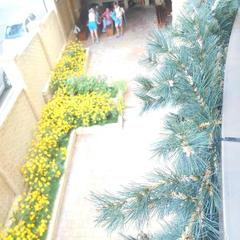 Отель Green Hall, Эсто-Садок, Краснодарский край