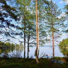  Комплекс Ангенлахти, Эссойла, Республика Карелия